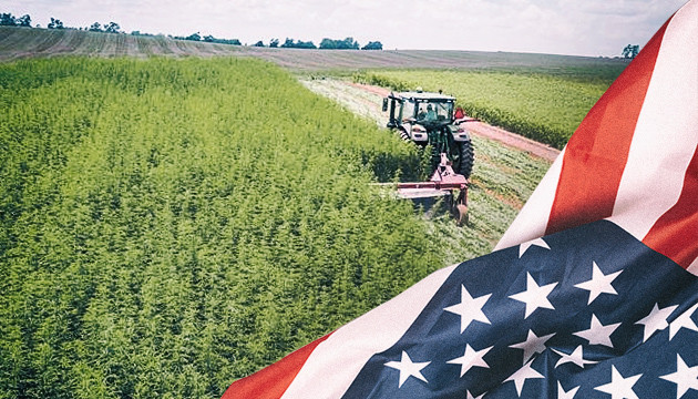 Плантации технического каннабиса в США Техническая конопля в США