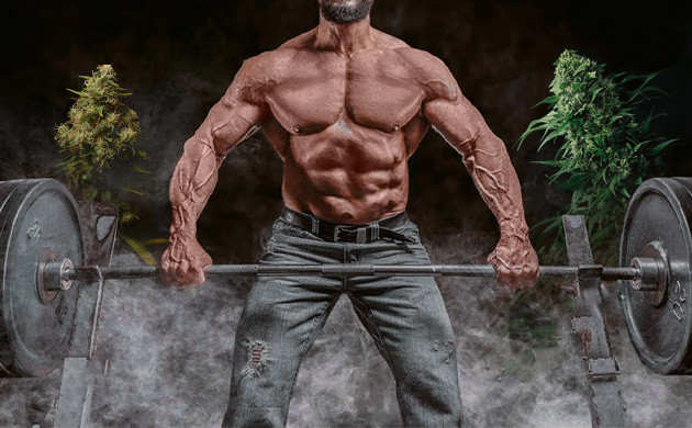 Физические занятие вместе с каннабисом Конопля и штанга