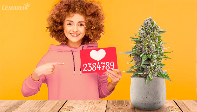 Популярные сорта