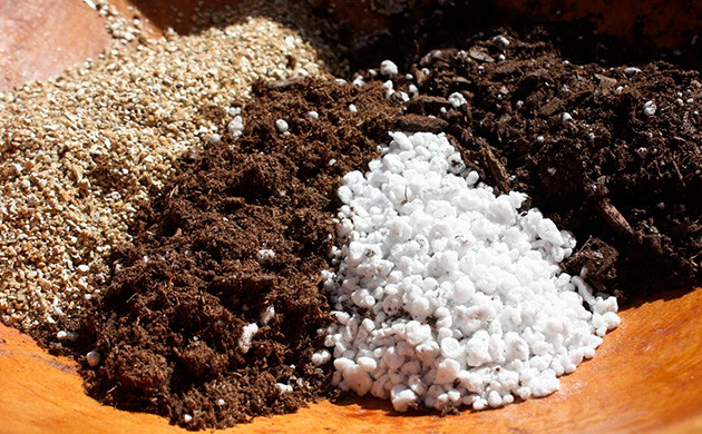 Почва для конопли в начале выращивания