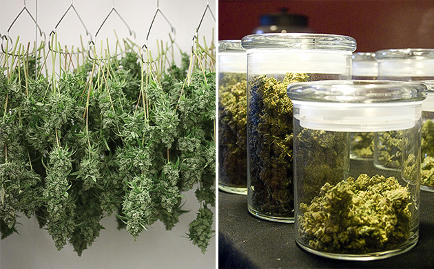 Сушка и пролечка марихуаны