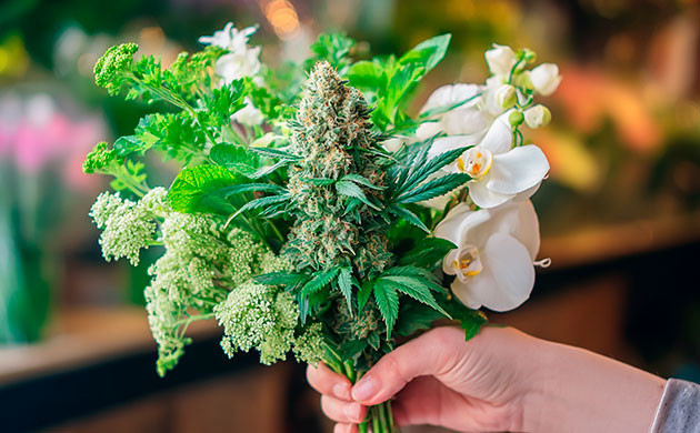 Терпен оцимен