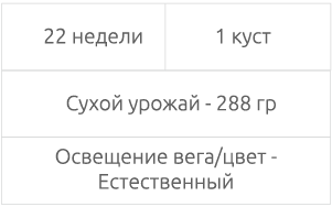 Собранный урожай Срок выращивания и полученный урожай