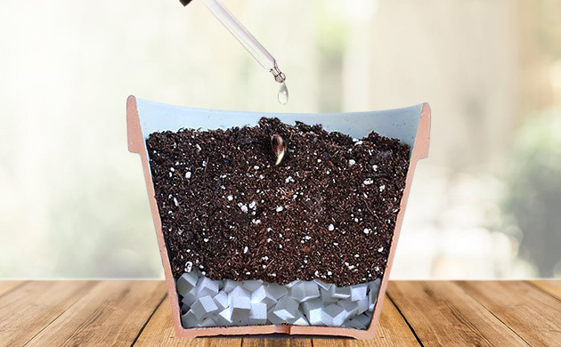 Создание импровизированного парника Увлажнение грунта