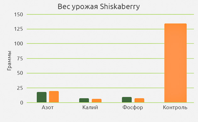 Последствия дефицита NPK на примере сорта марихуаны Shiskaberry 