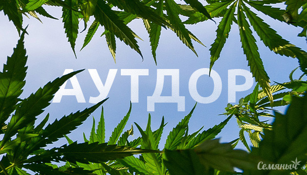 Принципы и сложности аутдорного грова