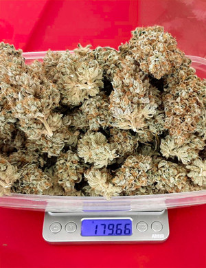 Шишки на весах