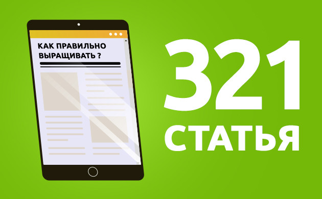 321 полезная статья 321 статья