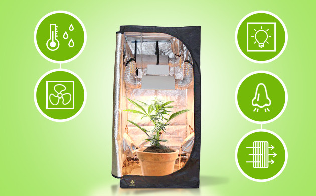 Благоустраивание бокса для цветения