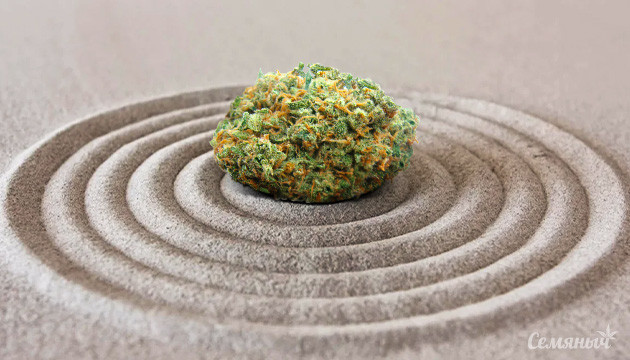 Медитация конопли