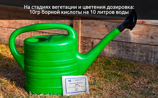 Как устранить дефицит бора у конопли