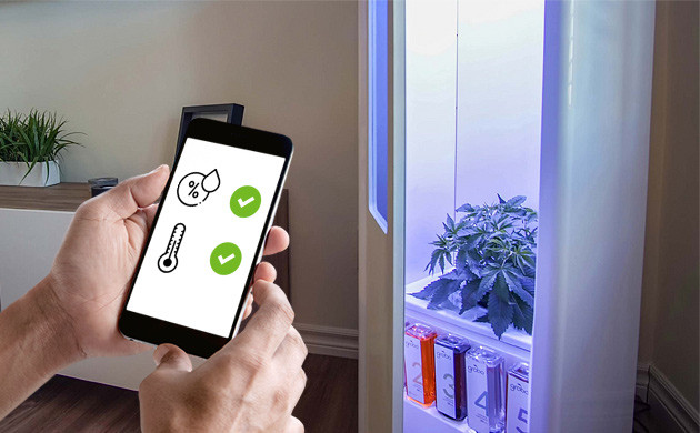 Влажность и температура в гроубоксе