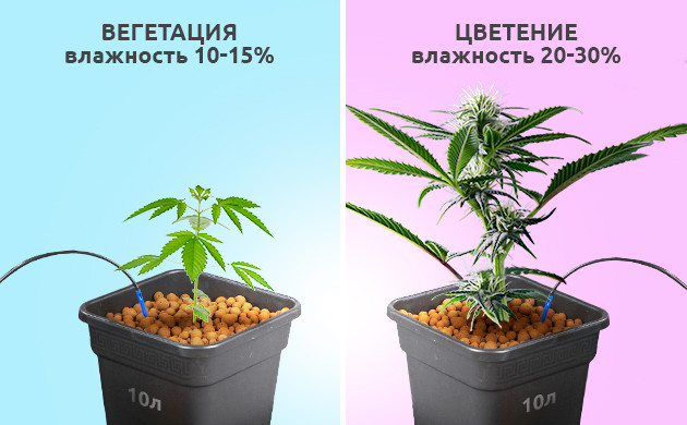 Влажность субстрата для выращивания в системе автополива