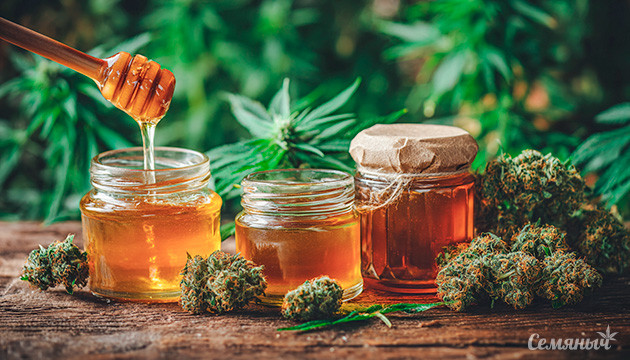 Канна-кухня: медово-конопляная настойка
