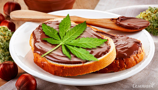 Рецепт конопляной нутеллы Конопляная нутелла на кухне