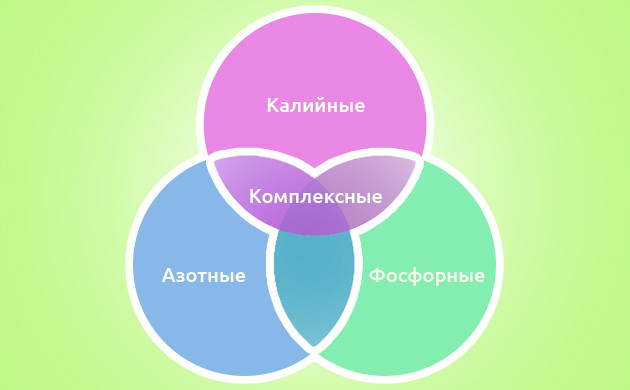 Диаграмма Венна по классификации по составу