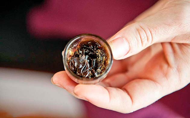 Темпл-болл в трубке или бонге