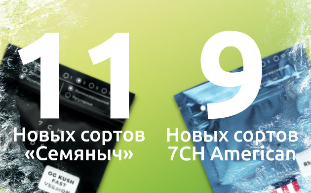 Новые сорта от селекционеров в 2024 Пополнение коллекций «Семяныча»