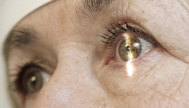 Лечение глаукомы с помощью каннабиса Заболевание глаз