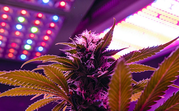 Использование LED светильников LED светильники