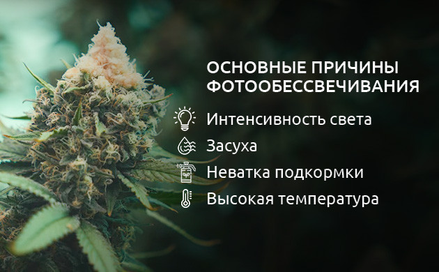 Влияние факторов окружающей среды