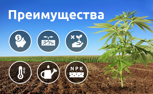 Плюсы открытого грунта