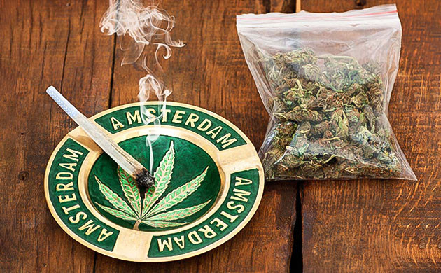 Подробнее о создании Female Seeds