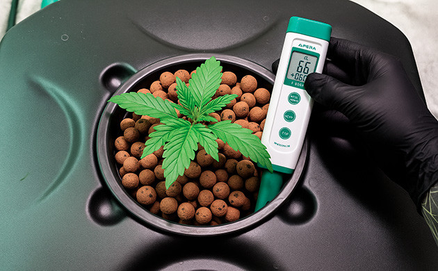 Колебания pH в гидропонике