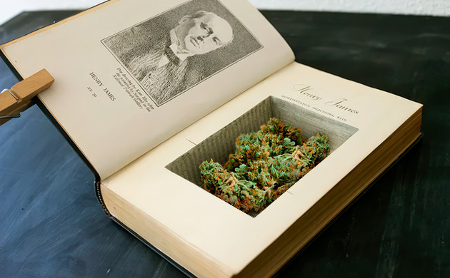 Книга как тайник для каннабиса