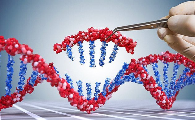 Процесс редактирования генов: этапы Тонкости выбора целевого гена