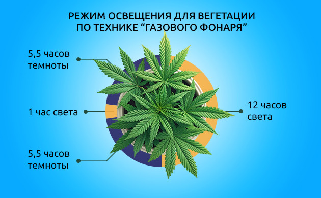 Разбиваем темный период: метод Газовый фонарь