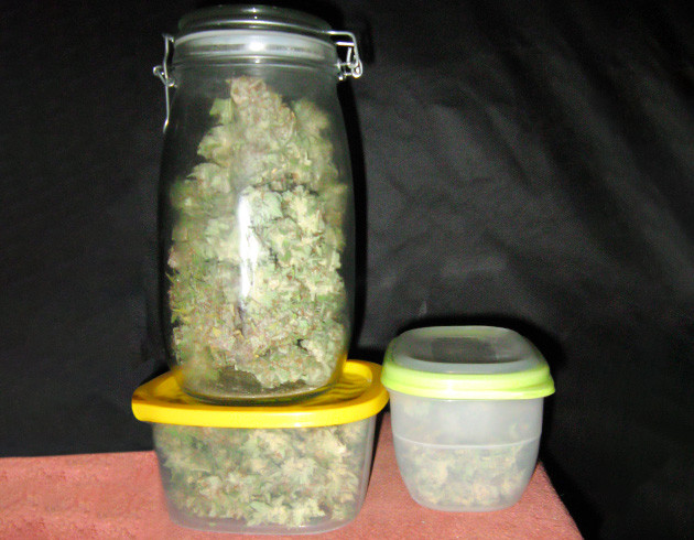 Собранный урожай Урожай в контейнерах и банке