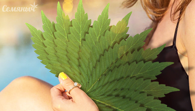 Как остудиться с помощью конопли Веер из листьев конопли
