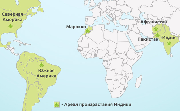 Места распространения конопли Индики Ареал произрастания Индики