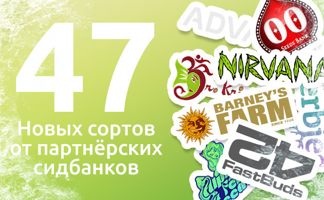 Расширение каталога сортов в 2024 Новые сорта от партнеров в 2024