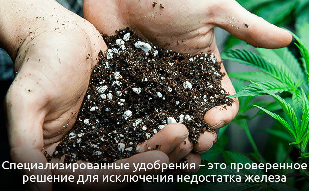 Удобрения для конопли при нехватке железа
