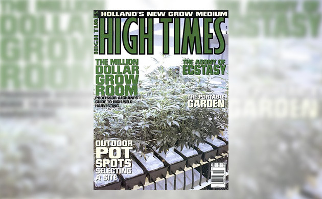 Обложка журнала High Times 1996 г.