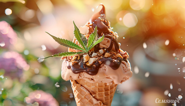 Отмечаем день мороженного с Семянычем