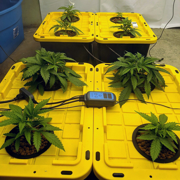 Генератор тумана