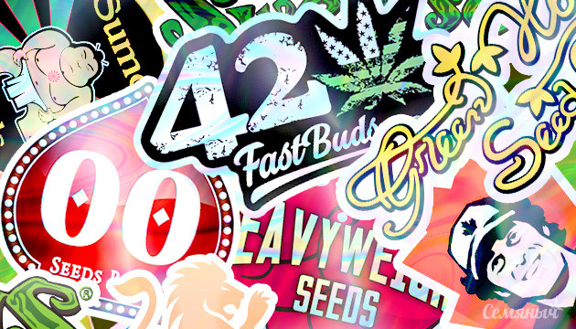 Сидбанки конопли Логотипы популярных сидбанках