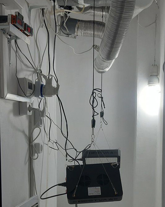 Подземный бокс для Critical Orange Punch Auto Введение в гроурепорт Critical Orange Punch Auto