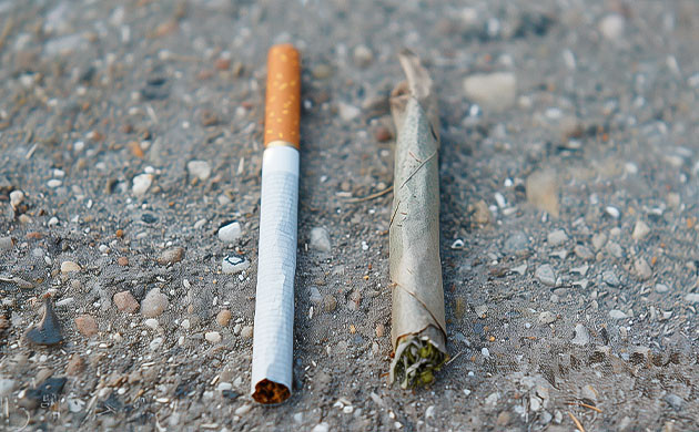 Популярность смешивания конопли с табаком