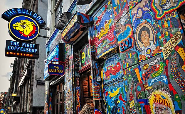 Кофешоп The Bulldog в Амстердаме