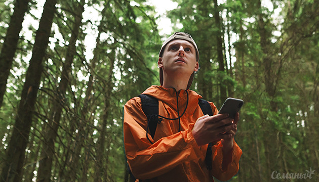 Поиск места в лесу