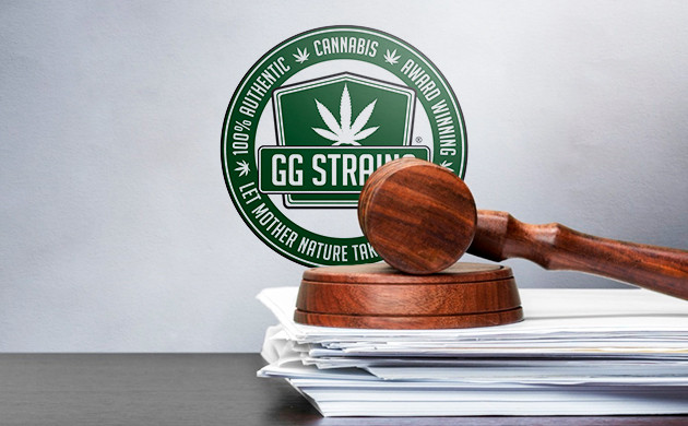 Cудебное разбирательство и ребрендинг Что произошло с Gorilla Glue #4?