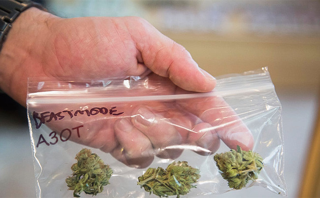 Окислители и их роль в превращении ТГК в КБН Кислород и деградация ТГК