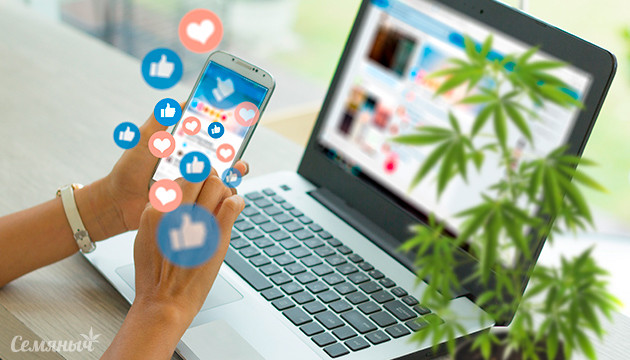 Отмечаем день социальных сетей с сортами конопли Cорта конопли для дня соцсетей