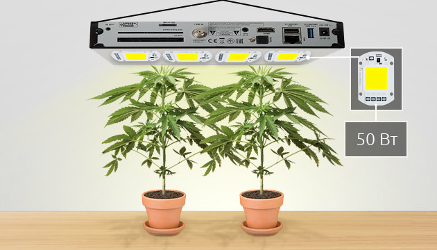 COB чипы на 50 Вт Ming&Ben