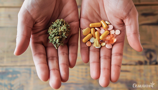 Совместное применение каннабиноидов и лекарств