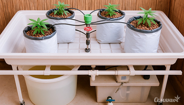 Бак и раствор в системе автоматического полива